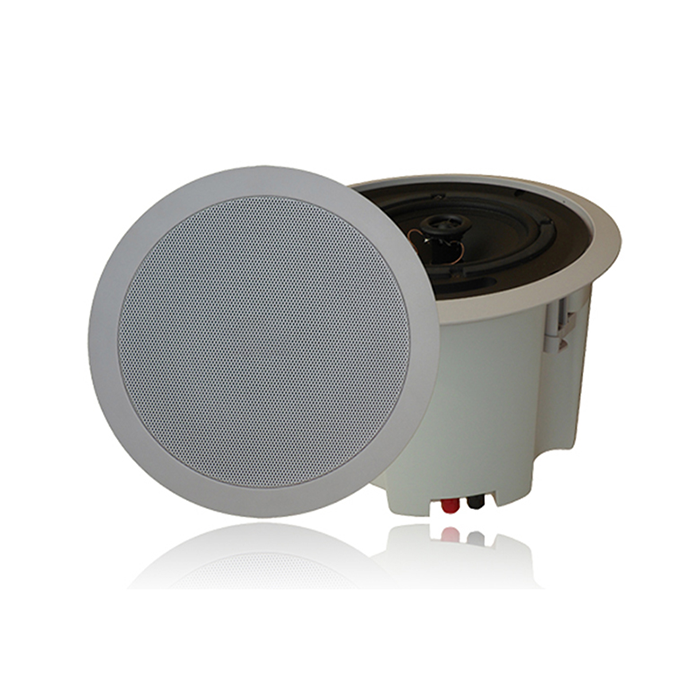 ZY315CBZ  藍(lán)牙商務(wù)吸頂音箱15W2.5寸低音，絲膜高音，帶后罩，內(nèi)置功放20W